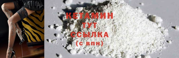 крисы Алзамай