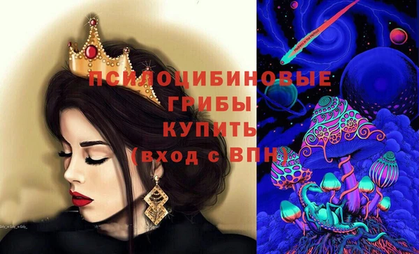 крисы Алзамай