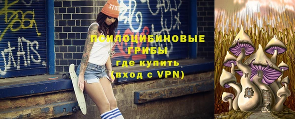 ПСИЛОЦИБИНОВЫЕ ГРИБЫ Алексеевка