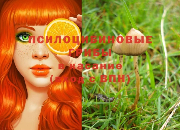 крисы Алзамай